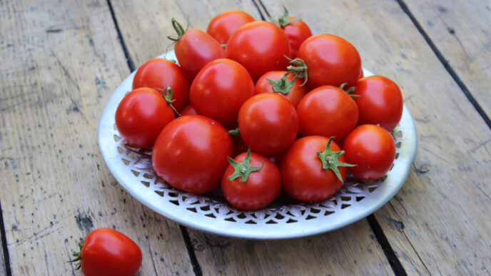 Čerstvé vs. konzervované paradajky: prekvapenie, ktoré neočakávate