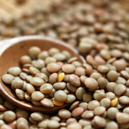 Šošovica – nenápadná strukovina, ktorá je základom zdravej kuchyne a ideálna aj na klíčenie