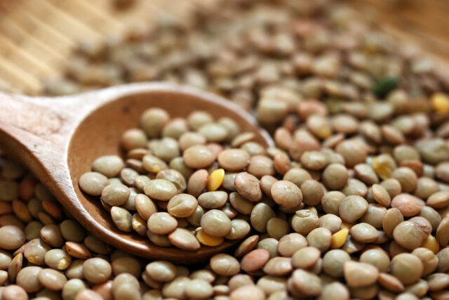 Šošovica – nenápadná strukovina, ktorá je základom zdravej kuchyne a ideálna aj na klíčenie