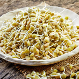 Naklíčená šošovica – malý zázrak plný živín