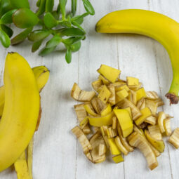 Banánové šupky: Skrytý poklad pre vaše rastliny