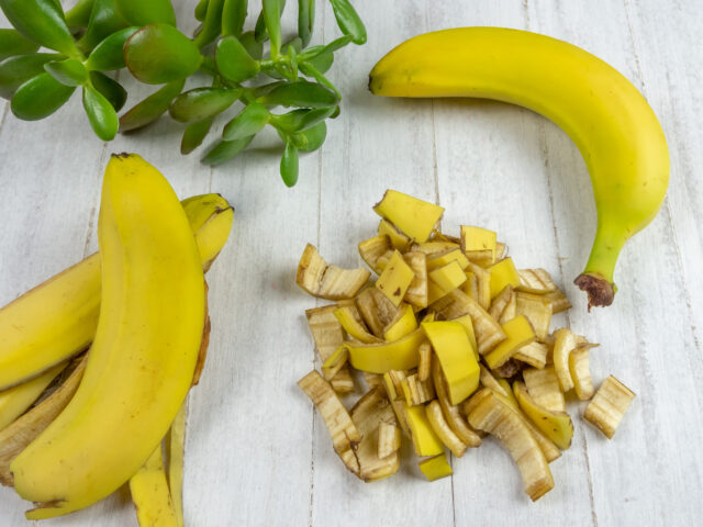 Banánové šupky: Skrytý poklad pre vaše rastliny