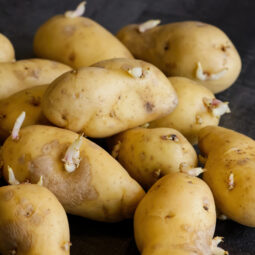 Ako zabrániť klíčeniu zemiakov: jednoduchý spôsob, ako ich udržať čerstvé celé mesiace