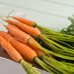 Prečo vám doma mrkva rýchlo plesnivie? Na vine je jedna nenápadná chyba