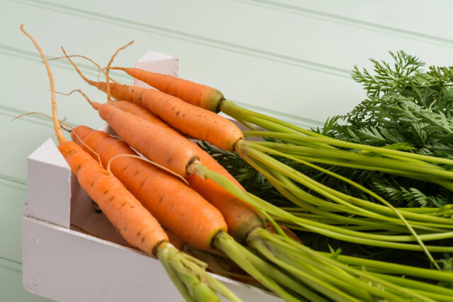 Prečo vám doma mrkva rýchlo plesnivie? Na vine je jedna nenápadná chyba