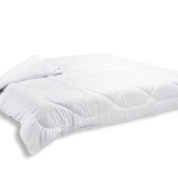 Prikry vka thermo 220x200 cm 2 640 g brotex 3 101 kc2.jpg