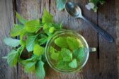 Žihľavový sirup bez varenia: domáci recept, ktorý zvládne každý