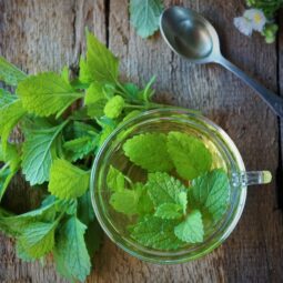 Žihľavový sirup bez varenia: domáci recept, ktorý zvládne každý