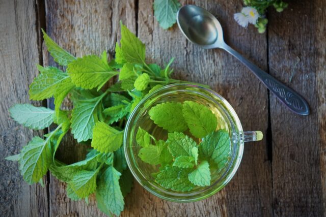 Žihľavový sirup bez varenia: domáci recept, ktorý zvládne každý