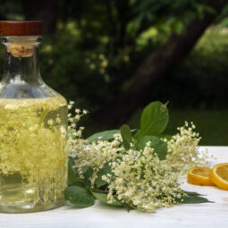 Domáci bazový sirup patrí medzi poklady našich starých mám