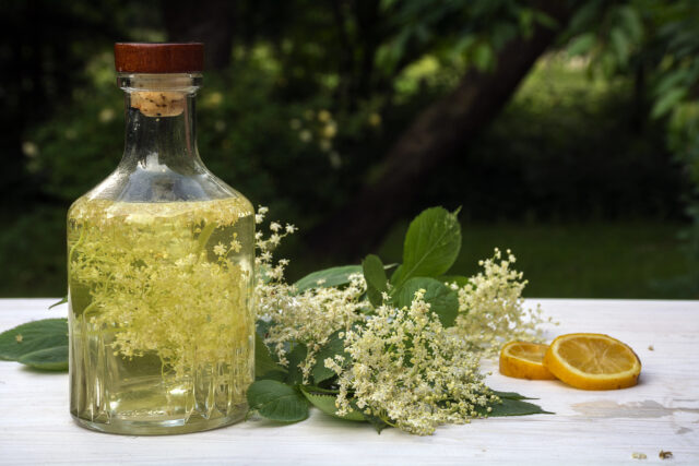 Domáci bazový sirup patrí medzi poklady našich starých mám