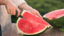 Chcete si domov priniesť sladký melón? Týchto 5 detailov vám prezradí, či je naozaj zrelý