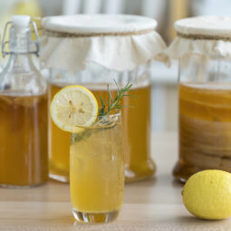 Domáca kombucha odhaľuje čaro prirodzenej fermentácie