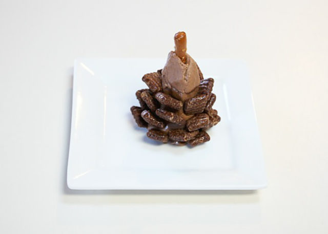 8 chocolate pinecone recipe 2