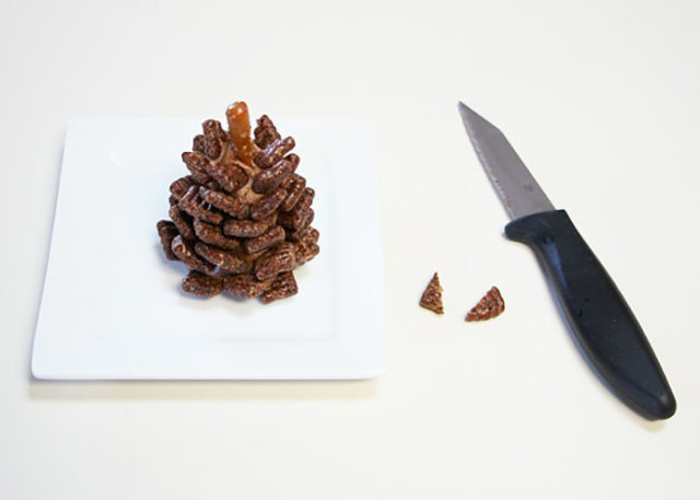 9 chocolate pinecone recipe 2