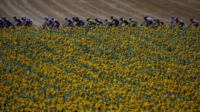 346678_tour de france 2 640x420.jpg