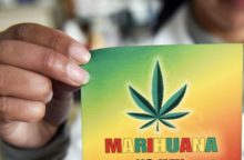 346840_marihuana 640x420.jpg