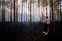 346898_lesny poziar 640x420.jpg