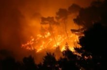 346974_poziar 3 640x420.jpg