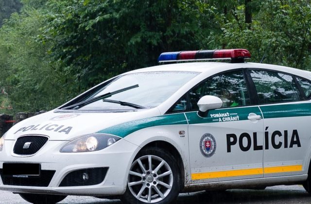 347086_policia 3 640x420.jpg