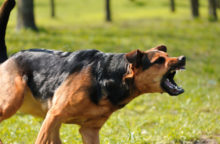 347123_thinkstockphotos 149075263 640x420.jpg