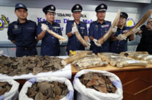 348175_kuala lumpur 640x420.jpg