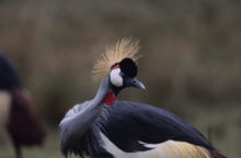 348248_thinkstockphotos 200329379 001 640x420.jpg