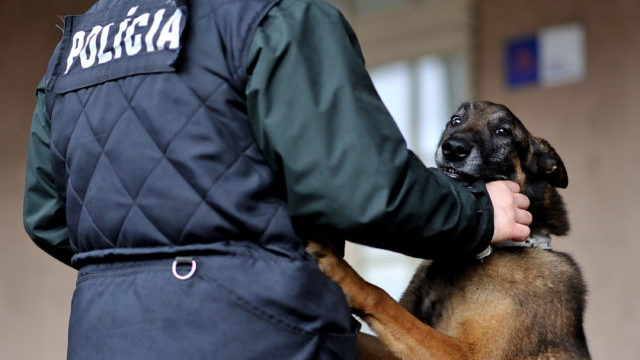 348335_policia 1 640x420.jpg