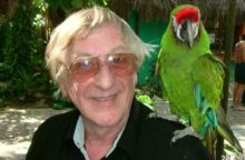 348627_kantorek 640x420.jpg