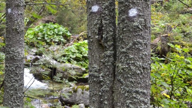 348694_les 640x420.jpg