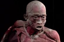348813_the human body exhibition 640x420.jpg