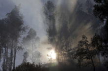 349172_portugal_wildfires_24319 c8c0d881fe7b45c3bd5ade2834d6ad2f 640x420.jpg