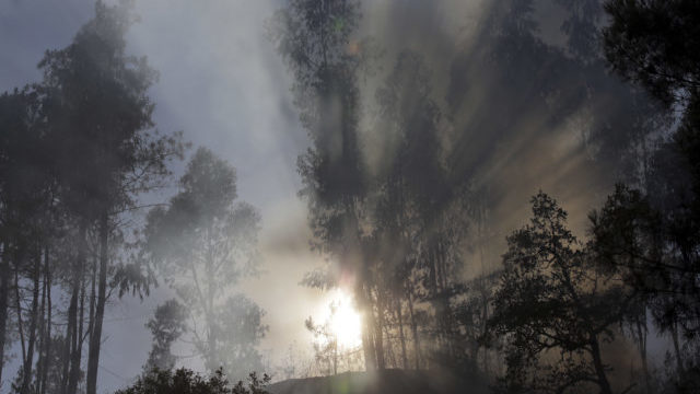 349172_portugal_wildfires_24319 c8c0d881fe7b45c3bd5ade2834d6ad2f 640x420.jpg