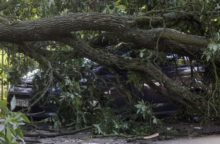 349190_polsko 1 640x420.jpg