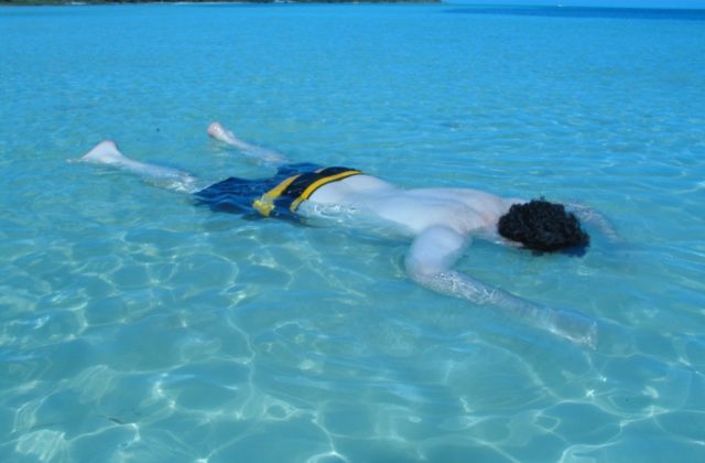 349300_dead  640x420.jpg