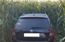 349418_policia 2 640x420.jpg