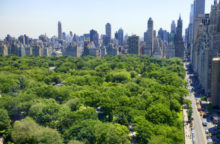 349469_central park 640x420.jpg