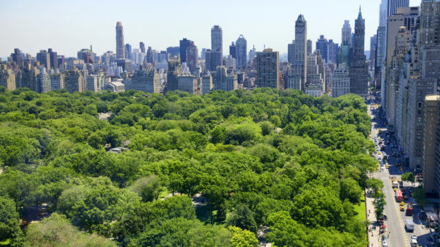 349469_central park 640x420.jpg