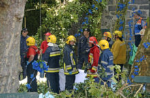 349478_portugalsko_strom 640x420.jpg