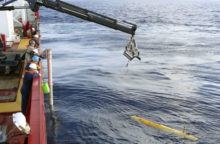 349530_austr_malaj 640x420.jpg