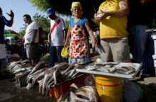 349533_ecu_ryby 640x420.jpg