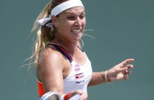 349866_cibulkova 640x420.jpg