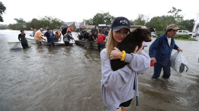 350557_harvey_11035 a44e3b583a95479f9520b1c5f74be02e 640x420.jpg
