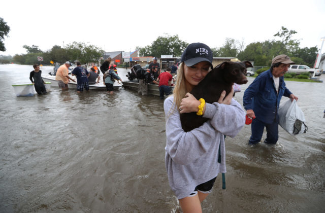 350557_harvey_11035 a44e3b583a95479f9520b1c5f74be02e 640x420.jpg