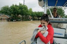 350775_harvey1 640x420.jpg