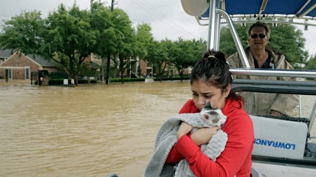 350775_harvey1 640x420.jpg