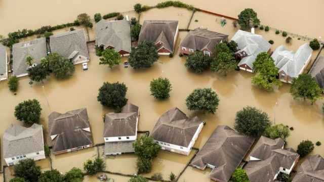 350883_harvey 2 640x420.jpg
