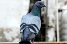 351119_thinkstockphotos 841847800 640x420.jpg