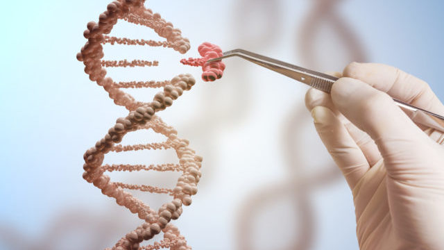 351127_dna 640x420.jpg