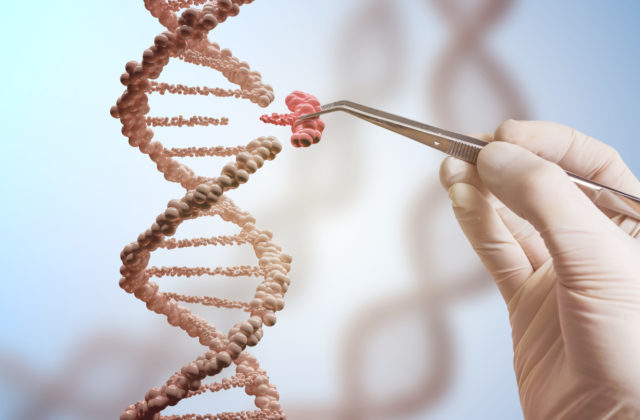351127_dna 640x420.jpg